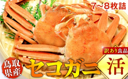 【活】鳥取県産セコガニ　訳あり　良品7~8枚詰《かに カニ 蟹 セコガニ》※2026/11/6～2026/12/25に順次発送予定※着日指定不可  離島不可（北海道、沖縄本島は配送可能）｜ 蟹 かに せこがに せこ蟹 訳あり 家庭用 鳥取県産 北栄町 おすすめ 人気