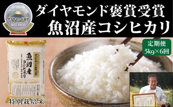 【令和8年産先行予約】【6ヶ月定期便】最高級魚沼産こしひかり【ダイヤモンド褒賞受賞 特別栽培米】 5kg（5kg×1袋）×全6回