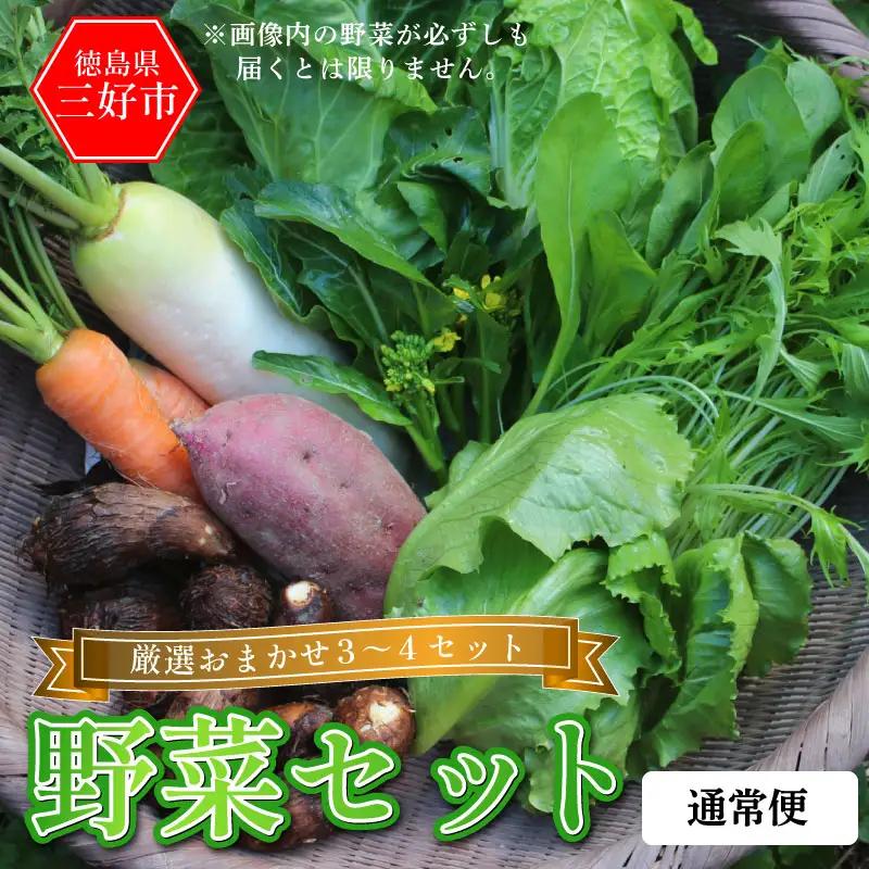 野菜 おまかせ セット 3～4種 旬の野菜 詰め合わせ【 野菜 】