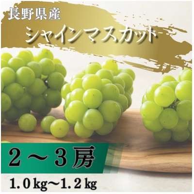 
                  ＜2026年先行予約開始!＞長野県中野市産シャインマスカット 計1.0～1.2kg(2～3房)【1682420】
                