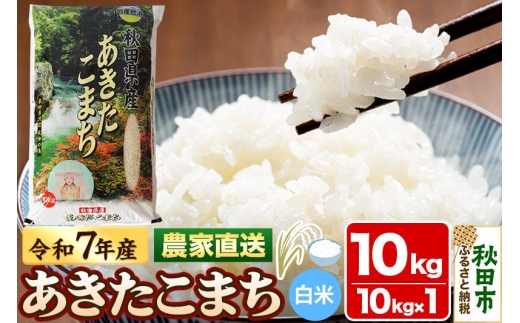 米 あきたこまち 10kg 令和7年産 白米 田口商店 農家直送 秋田県産 [米 あきたこまち 白米 秋田県産]