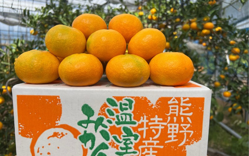 【数量限定】仲森農園の温室みかん 2.5kg 【2026年7月より順次発送予定（お届け日指定不可）】 みかん ミカン 蜜柑 温州みかん 温州ミカン 柑橘 フルーツ 果物 くだもの 産地直送 三重県 熊
