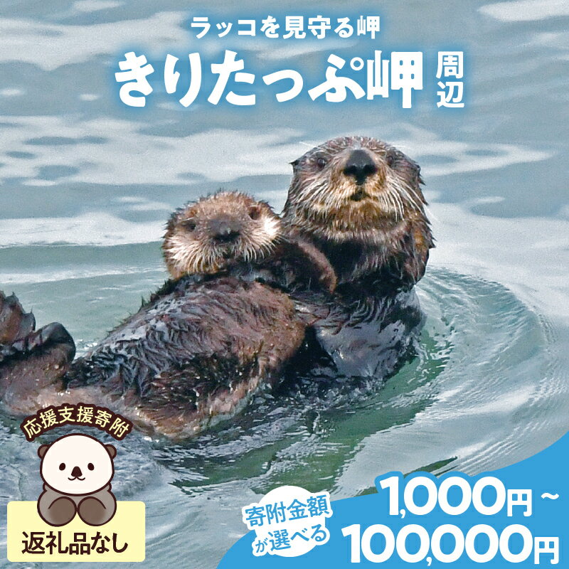 【ふるさと納税】【寄附額が選べる】ラッコを見守る岬「きりたっぷ岬」周辺の環境整備 返礼品なし 1,000円～100,000円 霧多布岬 らっこ 保護 環境保全 安心安全 野生動物 共生 まちづくり 支援 自然 観光 観光地づくり 遊歩道 展望台 北海道 浜中町