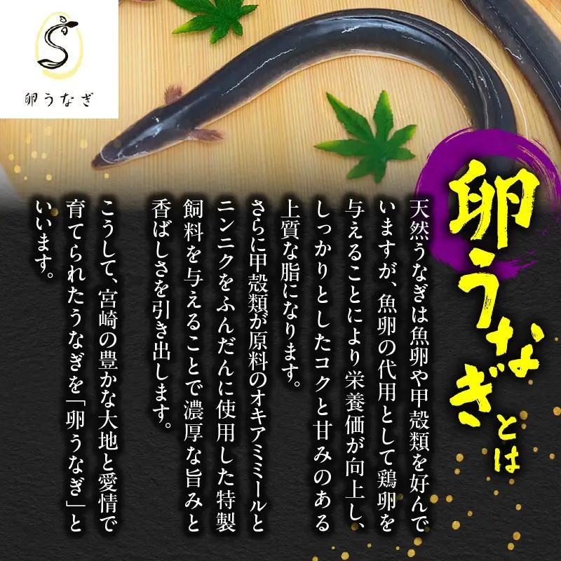  1749-1 【特大】九州産うなぎ 備長炭手焼 うなぎ の 蒲焼 4尾 計1,000g KN029-008 魚 鰻 惣菜 総菜