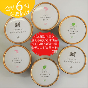 さくらアイス6個（3種類×2個）生チョコジェラート