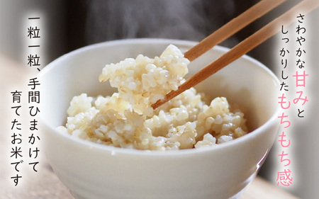 【令和7年産】農薬不使用 特別栽培米コシヒカリ5kg【玄米】福井県認証区分1取得「田んぼの天使」越前町【 農薬化学肥料不使用 】 [e10-b007]