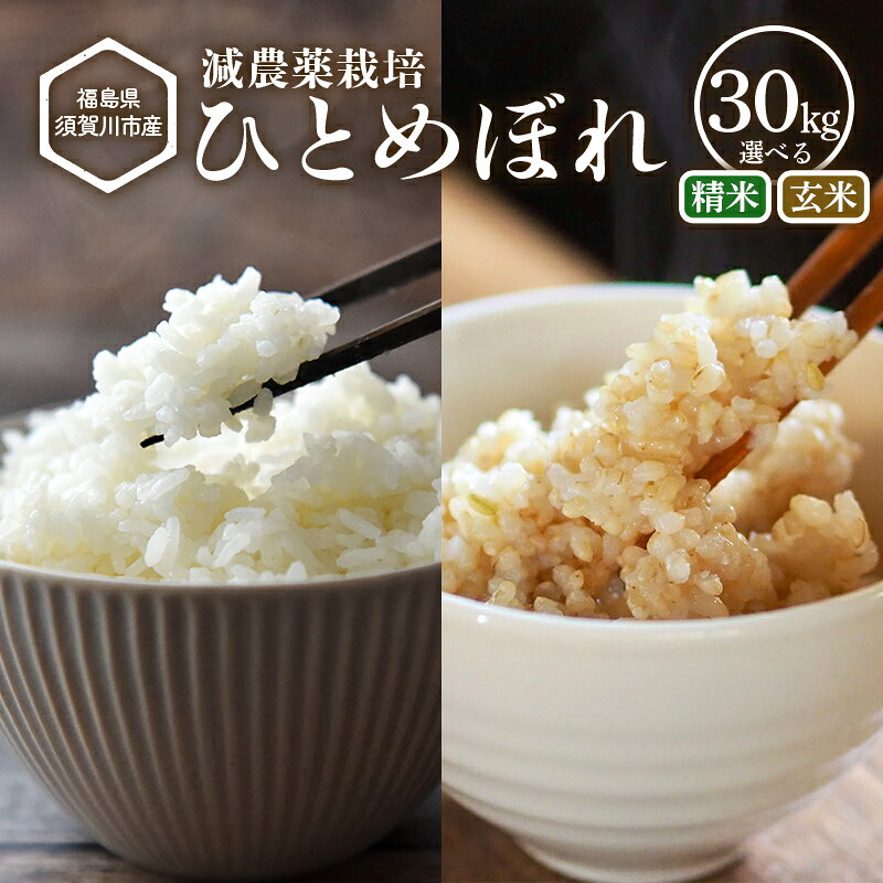 【ふるさと納税】【減農薬栽培】福島県須賀川市産 ひとめぼれ精米/玄米 30kg 選べる種類 ひとめぼれ 米 お米 ブランド米 銘柄米 備蓄 日本米 コメ ごはん ご飯 食品 須賀川 福島 F7X-0864var
