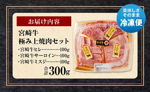 宮崎牛 極み上焼肉セット