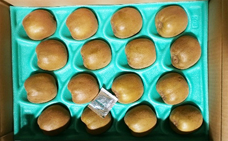 香川県オリジナルキウイ「さぬきゴールド」約3kg 果物詰合せ フルーツ 果物 詰合せ セット 