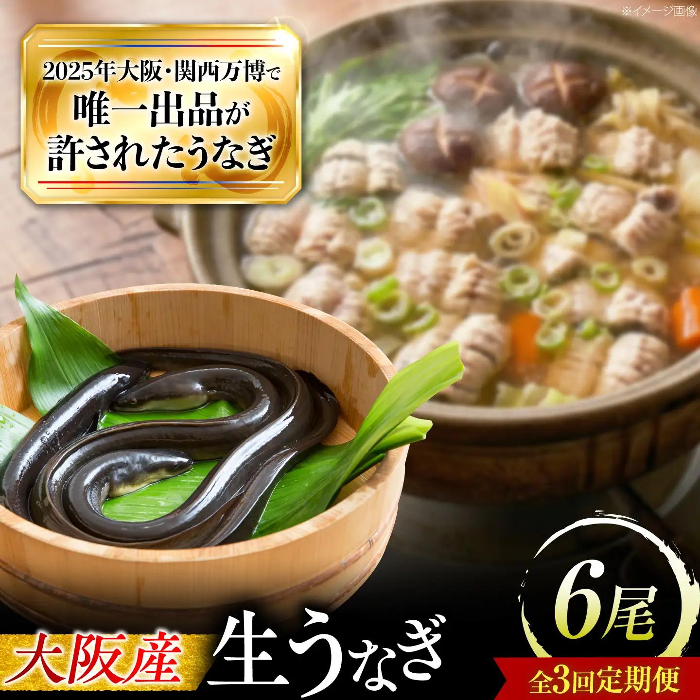 【3回定期便】 鰻 美陵鰻の生鰻 6尾 BLAL076