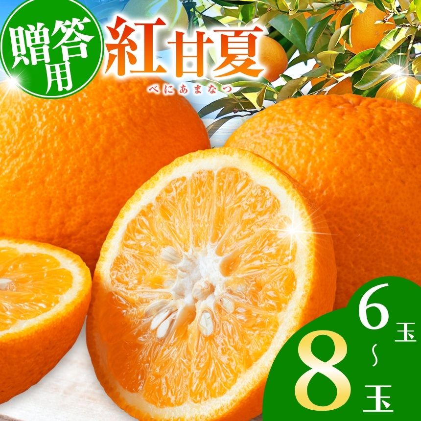 【ふるさと納税】【贈答用】紅甘夏 6～8玉 | 柑橘 みかん フルーツ 家庭用 甘夏 あまなつ 熊本県 玉名市 3キロ 5キロ 8キロ 送料無料