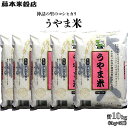 【ふるさと納税】神話の里/吉田町「うやま米」コシヒカリ 10kg（2kg×5）