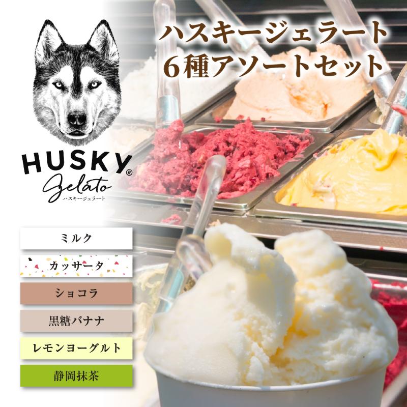 【ふるさと納税】ハスキージェラート 定番6種アソートセット ジェラート アイス ハスキー ミルク ショコラ 静岡抹茶 カッサータ レモンヨーグルト 黒糖バナナ 6個 アソート デザート スイーツ おやつ お取り寄せグルメ ご当地 送料無料 新潟県 新潟市