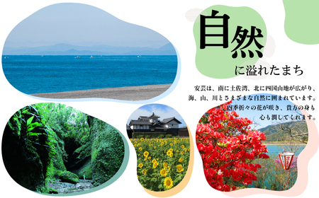 菊水 あらごし3種セット あらごしみかん あらごしもも あらごしゆず 720ml 3本 セット | お酒 高知県 安芸市
