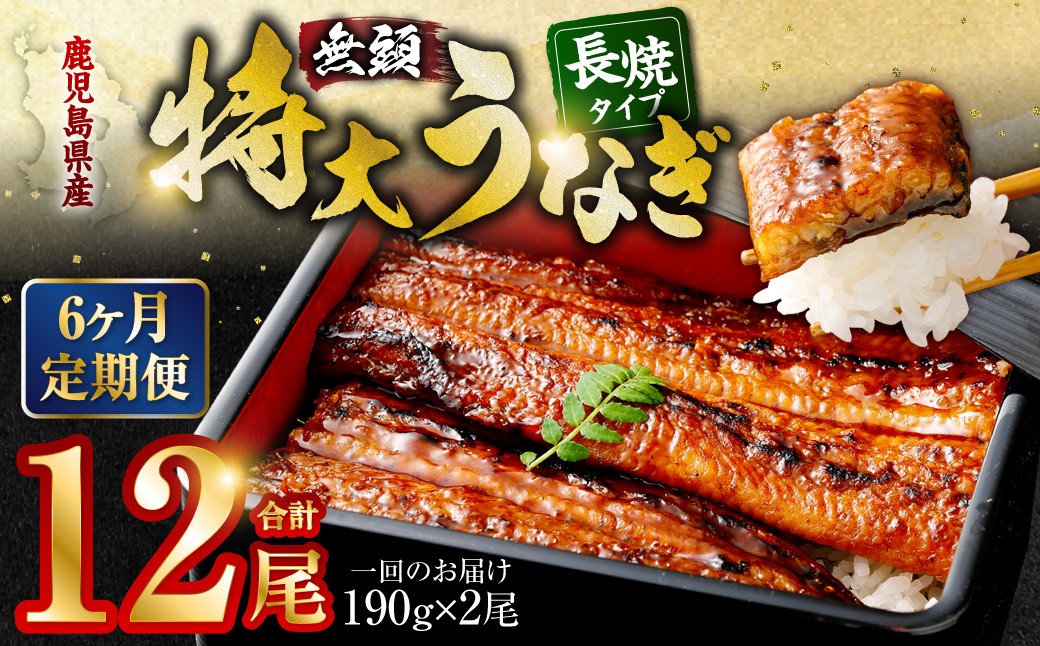 
IS-210【6カ月定期便】九州産 うなぎ蒲焼 (約170g×2尾 6回) 計12尾 うなぎ 蒲焼 鹿児島県 薩摩川内市
