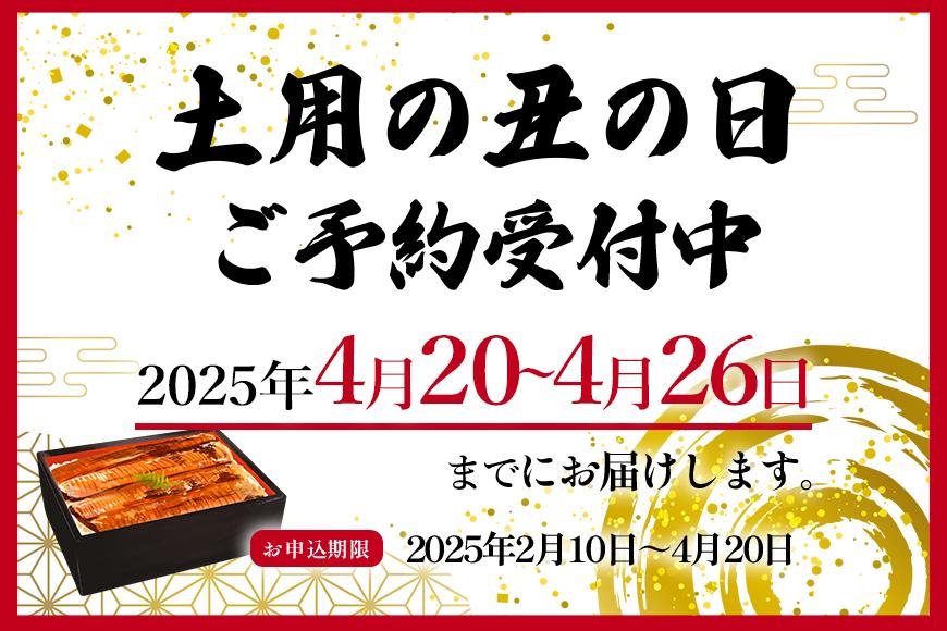 大型サイズ　ふっくら柔らか　国産うなぎ蒲焼き　2尾　化粧箱入［春土用の丑の日のうなぎ］［4月26日までにお届け］［UT05］