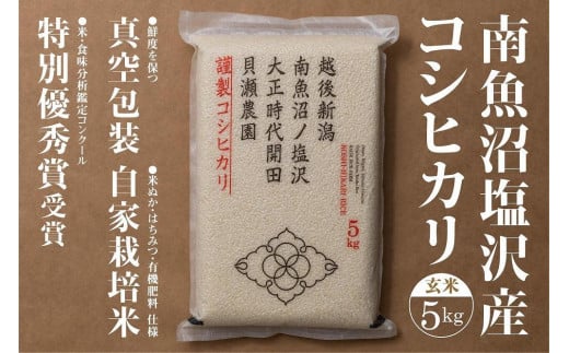 
            【令和7年産】「貝瀬農園米」農薬5割減栽培　南魚沼塩沢産コシヒカリ　玄米5kg
          
