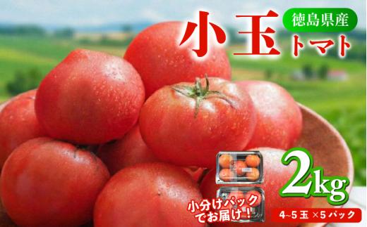 トマト 4パック 2kg 小玉 とまと 4月～6月発送 野菜 やさい 国産 産地直送 数量限定 1万円未満 旬 徳島県産 tomato サラダ おすすめ 徳島県 1万円以内