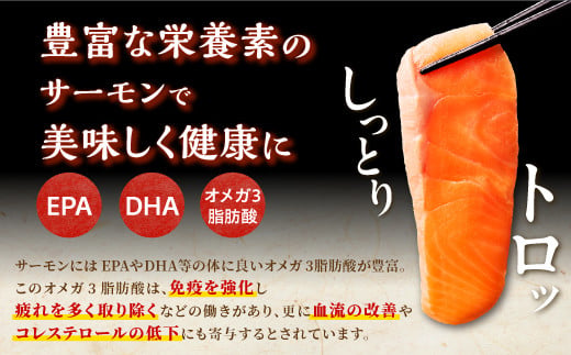 ギンサケサーモン【1.6kg】 小分け 下処理不要 絶品の「塩締め」レシピ ふるさと納税 海鮮 サーモン 鮭 魚 銀鮭 刺身 生食用 さけ サケ ふるさと ランキング 人気 魚介類 魚介 北海道 白糠