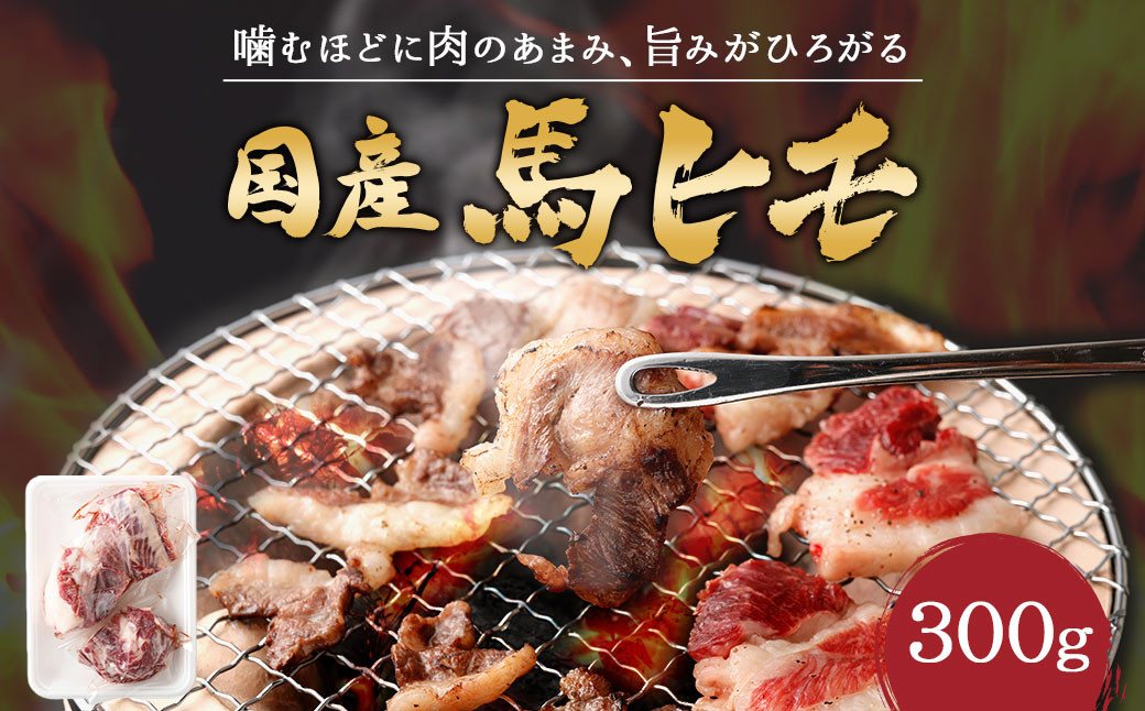 
国産 馬ヒモ 焼肉用 300g 馬肉 お肉 煮込み 冷凍 熊本県
