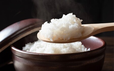【令和8年産米・8月上旬から配送】ふくい農園のおいしいお米（よさ恋美人15kg）予約 受付 低温 貯蔵 酵素 有機質 肥料 贈答 精米 白米
