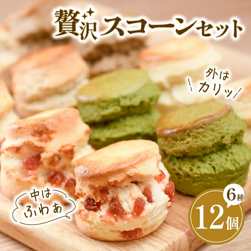 【ふるさと納税】紅茶専門店ティー・イソブチカンパニー 手作りスコーン 12個（6種×2個）コンプリートセット お菓子 洋菓子 焼菓子 スコーン 手作り ホームメイド おやつ 食べ比べ 藤沢市 神奈川県