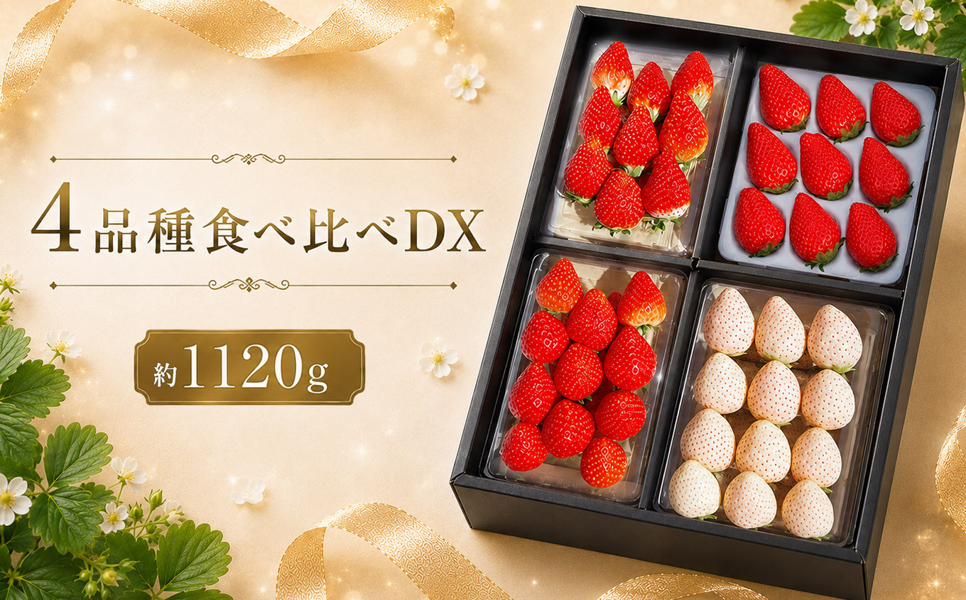 栃木のいちご 4品種食べ比べデラックス 1120g【2027年1月以降発送】| とちあいか とちおとめ スカイベリー ミルキーベリー 澳原いちご農園 栃木県 矢板市