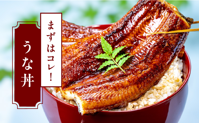 【特別規格】国産うなぎ蒲焼 640g以上（大サイズ4尾）【レンチン 湯煎対応 簡単調理 鰻 ウナギ 人気総菜 日本産 土用の丑の日にも】 kgp0131