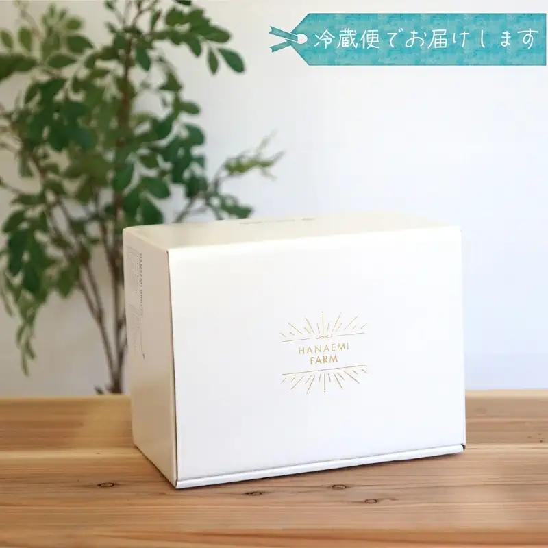 ぶどう シャインマスカット&BKシードレスぶどう1kg(2房)  【hana047-02】