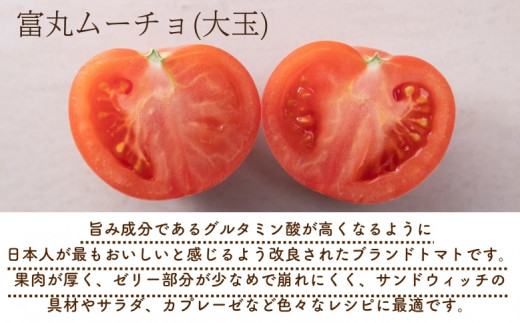 【2027年1月以降配送】熊野薬草園の大玉トマト（1.2kg×2箱） トマト 大玉トマト 熊野 予約受付【kmys0006A】