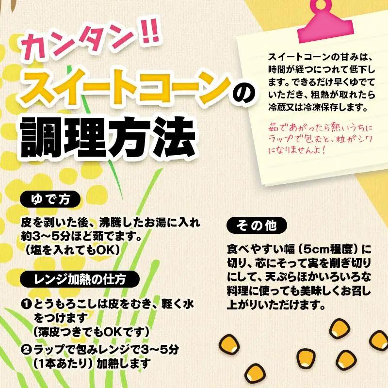 【先行予約】2027年発送　朝どれスイートコーン６kgとスイートコーンドレッシングセット＜35-3a＞