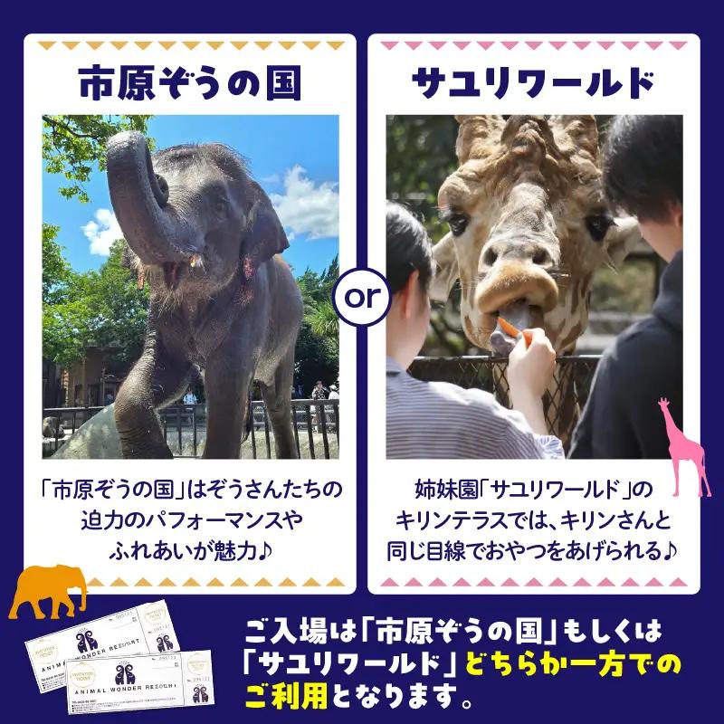 入園チケット 市原 ゾウの国 ペア 招待券 市原市 入場券 チケット