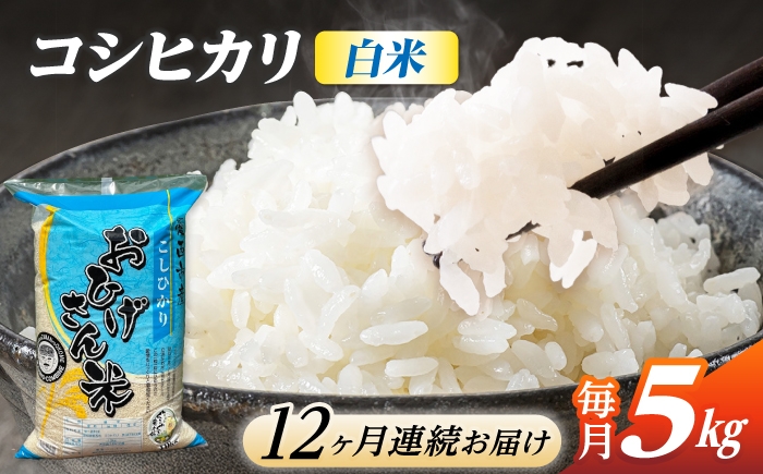 
                  【12回定期便】コシヒカリ 白米 5kg×12ヵ月 愛西市 / 脇野コンバイン [AECP026]
                