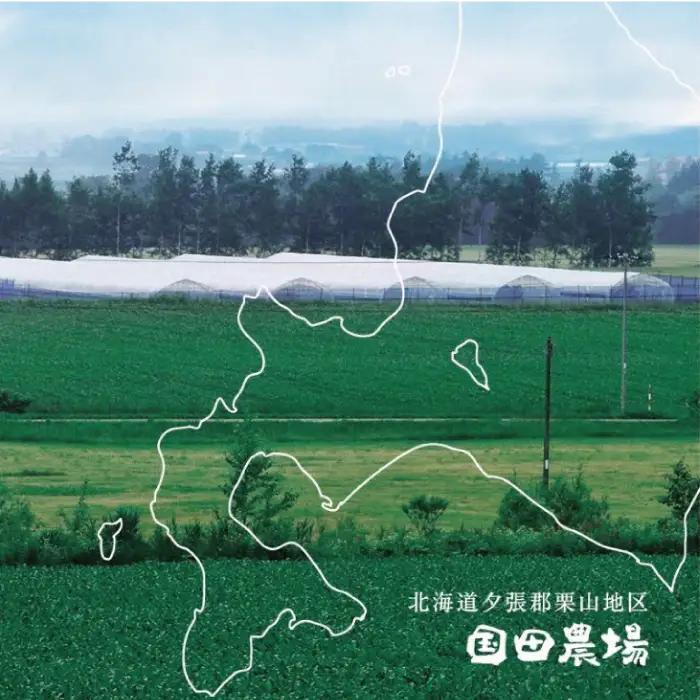 国田農場のキングメロン　1.6kg以上×2玉　北海道産
