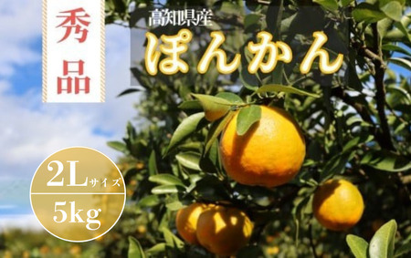 TM003-1 徳村の秀品ぽんかん 2Lサイズ＜5kg＞国産 東洋町産 訳アリ 甘い コク ジューシー 果肉 高知県 東洋町 四国 お取り寄せ フルーツ 果物 家庭用 自宅用 送料無料