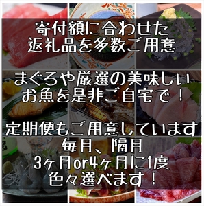 王様の塩辛 青唐 5本【イカ 塩辛 珍味 おつまみ 惣菜 海鮮 いかの塩辛 珍味 お取り寄せ 御中元 お中元 お歳暮 父の日 母の日 贈り物 日本酒 焼酎】【神奈川県小田原市早川】