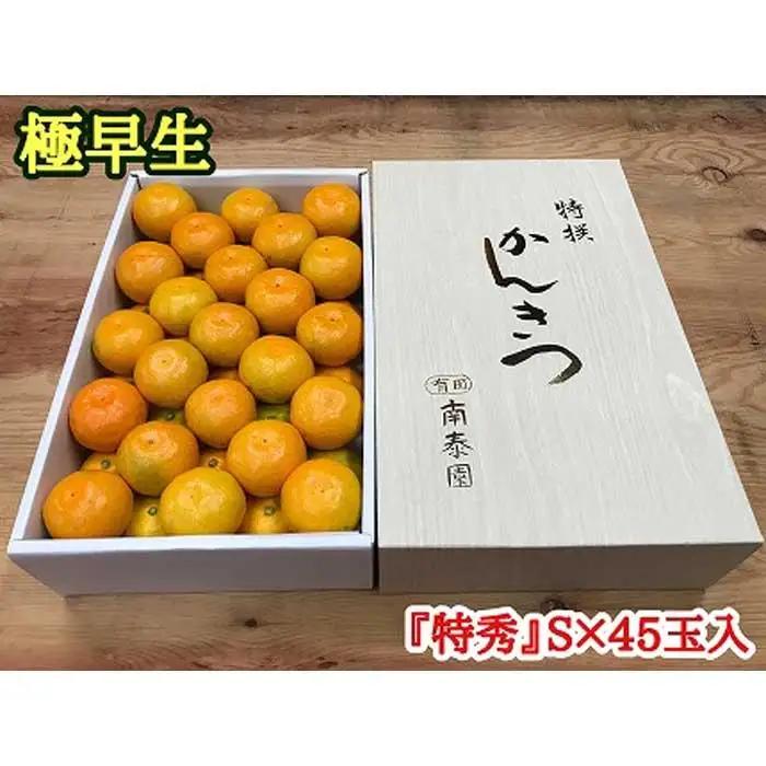 極早生 有田 みかん 化粧箱 特秀 S サイズ 45玉入 南泰園 和歌山 有田みかん