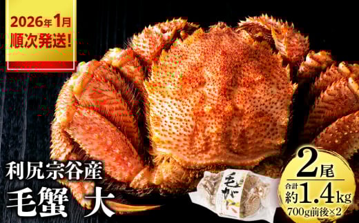 【2026年1月発送】 利尻島産 毛ガニ 大サイズ （700g前後）2尾＜利尻漁業協同組合＞