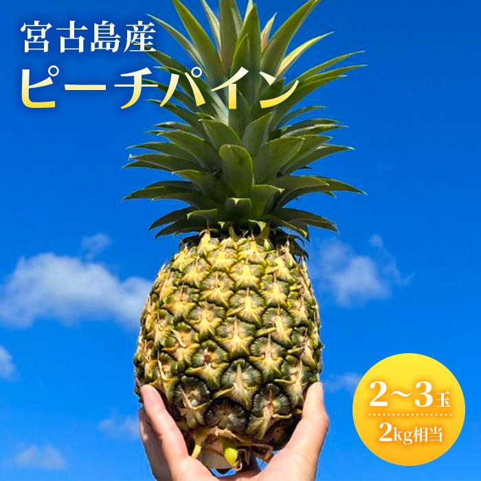 【ふるさと納税】《先行予約2026年発送》宮古島産ピーチパイン2～3玉（2kg相当）【KONAパイン】｜無農薬 ピーチパイン フルーツ パイナップル パインアップル 果物 人気 おすすめ 宮古島 沖縄 送料無料(HL001)