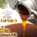 【ふるさと納税】伊江島産　純粋はちみつ＜ie honey＞1kg（500g入×2）