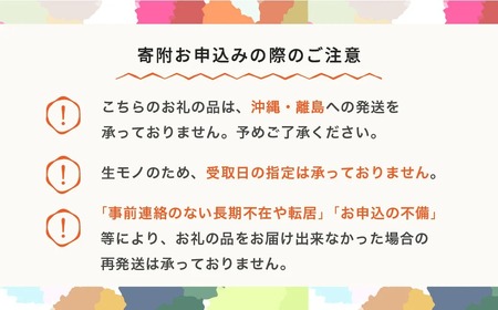 2色の小玉すいか 令和8年産 no-suwck2