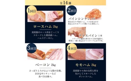 ハム 定期便 7ヶ月 豚1頭分 セット 詰め合わせ ハム