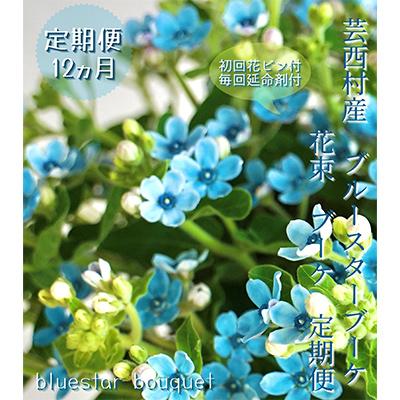 ふるさと納税 芸西村 【毎月定期便】芸西村産生花ブルースター花束 ブーケ 初回花瓶付 毎回延命剤付 全12回
