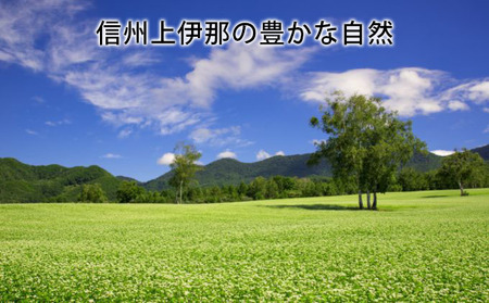 そば 生そば 4パック 100g 3袋 JA上伊那 伊那華の生そば めんつゆ付 蕎麦 半生そば 信州上伊那産そば粉 信濃一号 信濃夏そば 保存料不使用 香り高い風味 のど越しの良さ こだわりのつゆ 風