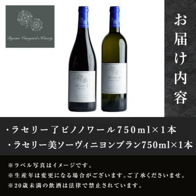 ふるさと納税 大和町 自社葡萄を使用したワイン2本セット ピノノワール・ソーヴィニヨンブラン 750ml×各1本 |  | 03