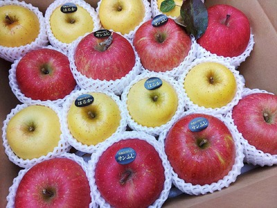 先行予約【落ちないりんご】11月の米崎りんご ぎゅっとセット 3kg 【 りんご 品種 おまかせ 旬 お届け 岩手 陸前高田 】2024.11月から順次発送予定