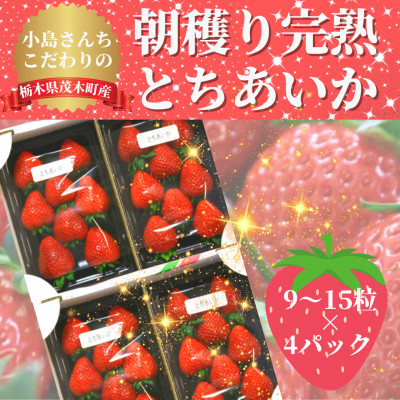 
＜12月中旬から順次発送＞小島さんちのとちあいか レギュラー4パック(1パック 9～15粒)【1372188】
