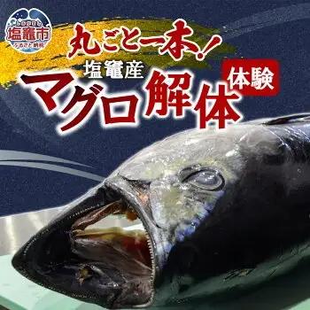 塩竈産マグロ解体体験！丸ごと1本食べつくそう！ ｜ gt00001 塩竈市 塩竈