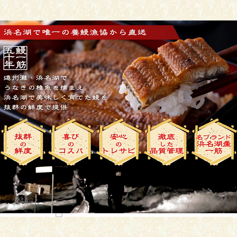 浜名湖産うなぎ長蒲焼パック80g×3枚入り【国産うなぎ】【
