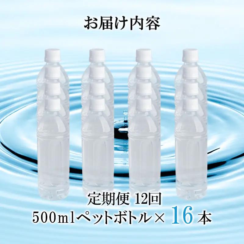 【桜屋】12回 定期便 シリカ天然水 サクラシリカ 500ml 16本 12回 計192本 シリカ含有量99mg/L シリカ水 ラベルレス 水 ミネラルウォーター 飲料水 飲料 ペットボトル ナチュラ